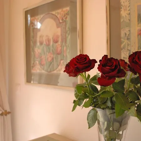 Le P'tit Logis Apartment